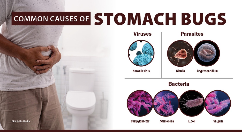 What Causes ‘Stomach Bugs’?