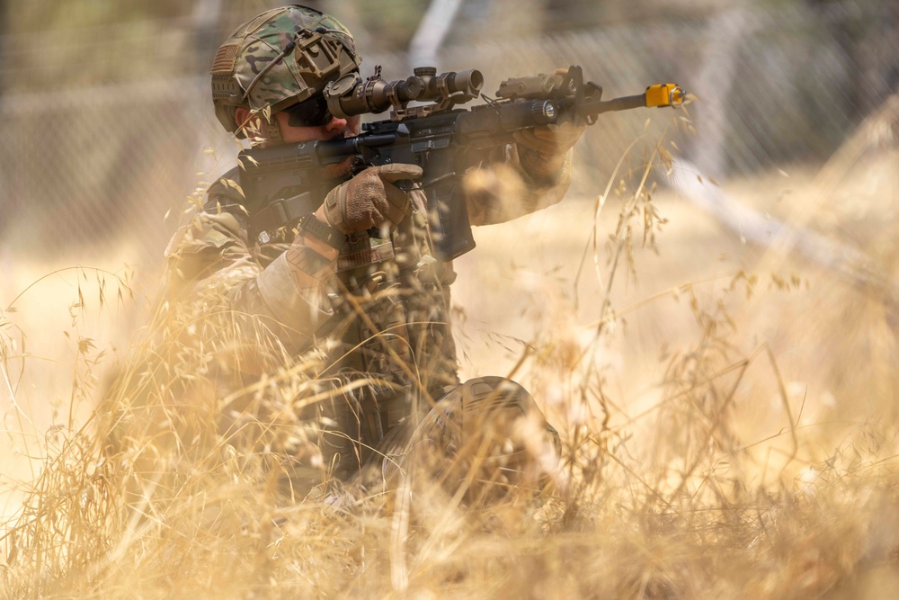 Beale Integrated Defense Training