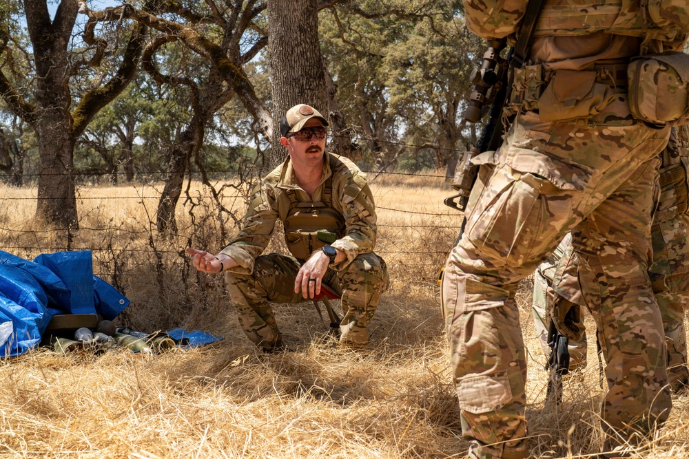 Beale Integrated Defense Training