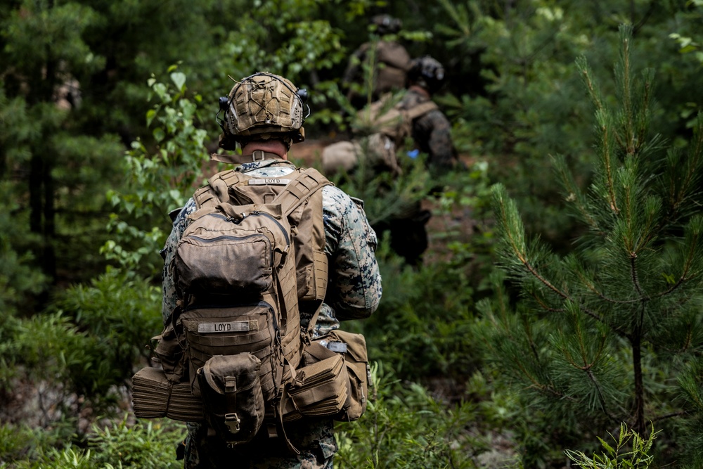 Atlantic Alliance 2025: U.S. Marines with 1st Battalion, 8th Marine Regiment