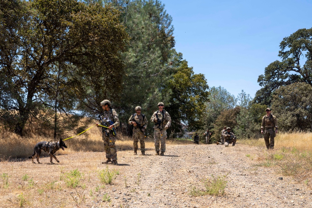 Beale Integrated Defense Training