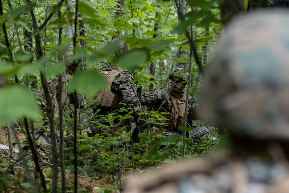 Atlantic Alliance 2025: U.S. Marines with 1st Battalion, 8th Marine Regiment