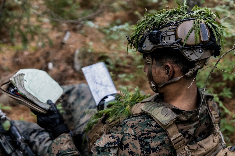 Atlantic Alliance 2025: U.S. Marines with 1st Battalion, 8th Marine Regiment