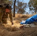 Beale Integrated Defense Training