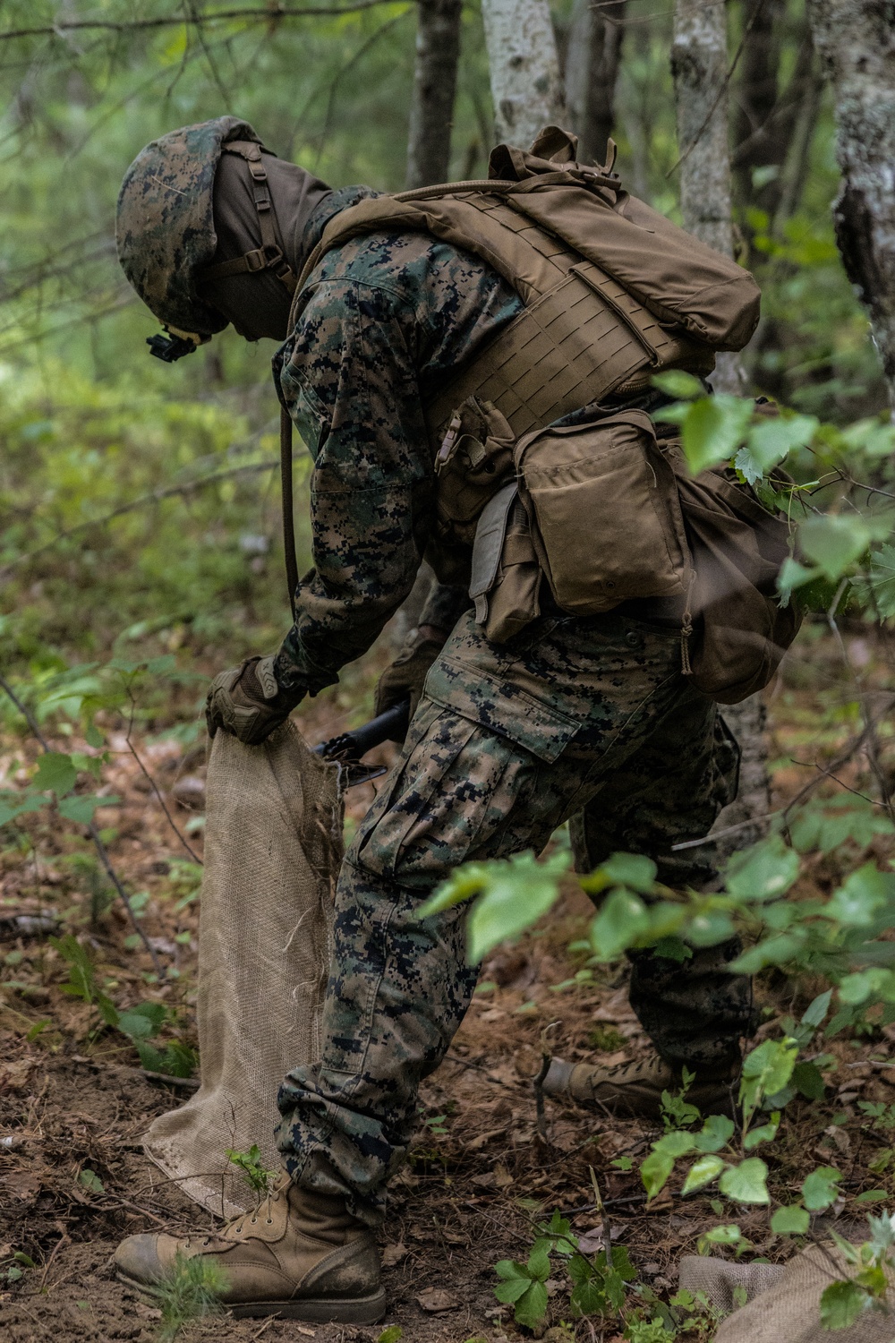 Atlantic Alliance 2025: U.S. Marines with 1st Battalion, 8th Marine Regiment