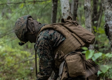 Atlantic Alliance 2025: U.S. Marines with 1st Battalion, 8th Marine Regiment