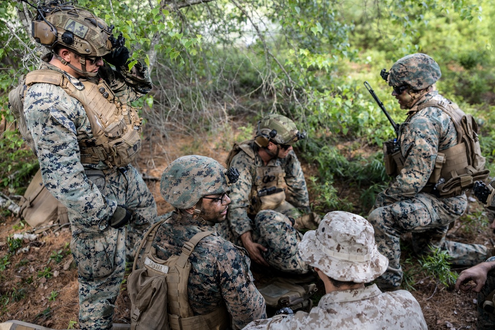 Atlantic Alliance 2025: U.S. Marines with 1st Battalion, 8th Marine Regiment