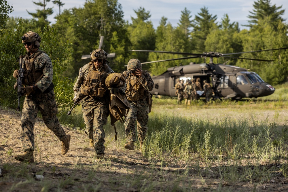 Atlantic Alliance 2025: U.S. Marines with 1st Battalion, 8th Marine Regiment