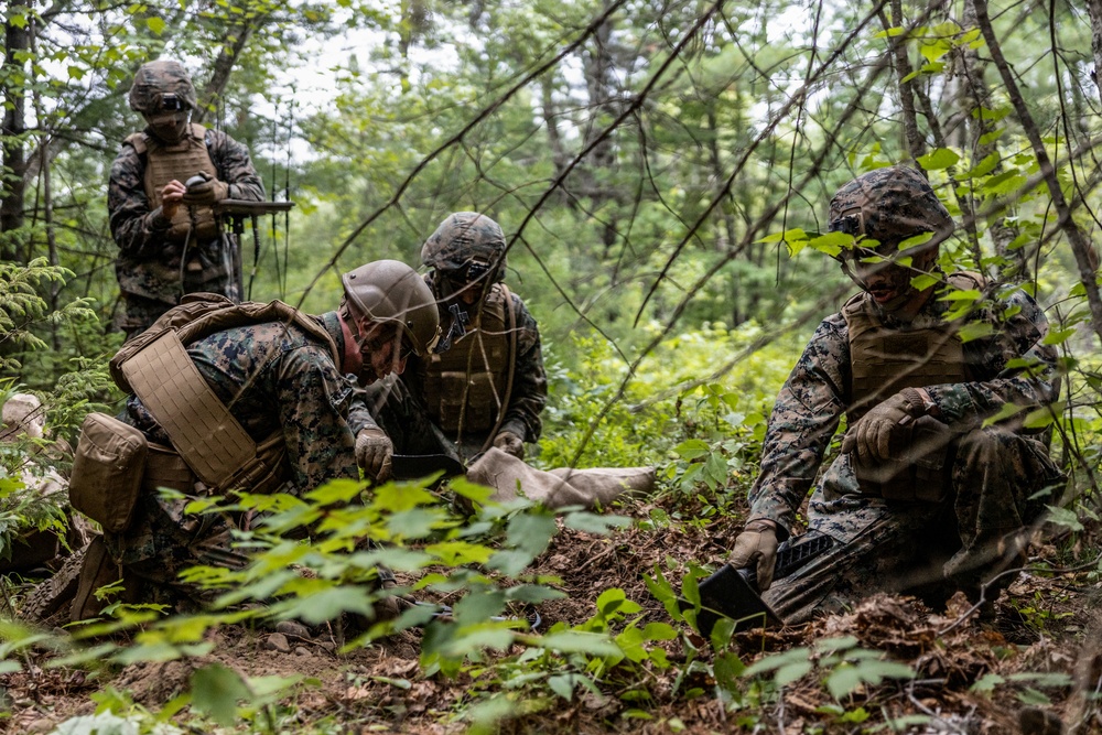 Atlantic Alliance 2025: U.S. Marines with 1st Battalion, 8th Marine Regiment