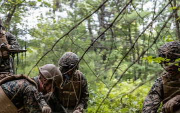 Atlantic Alliance 2025: U.S. Marines with 1st Battalion, 8th Marine Regiment