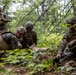 Atlantic Alliance 2025: U.S. Marines with 1st Battalion, 8th Marine Regiment