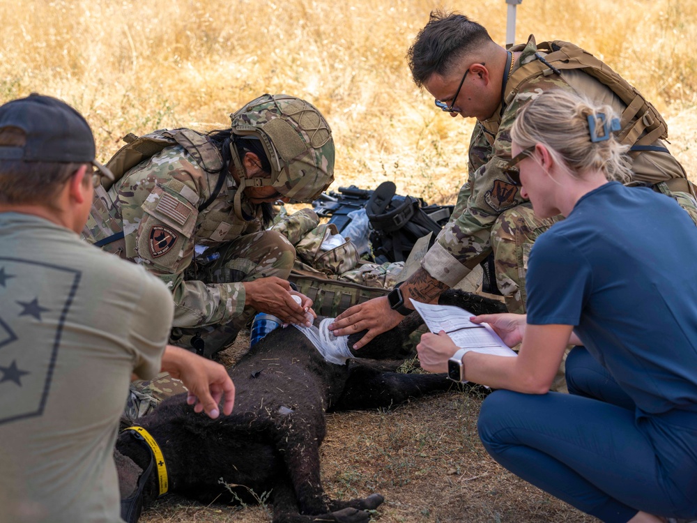 Beale Integrated Defense Training