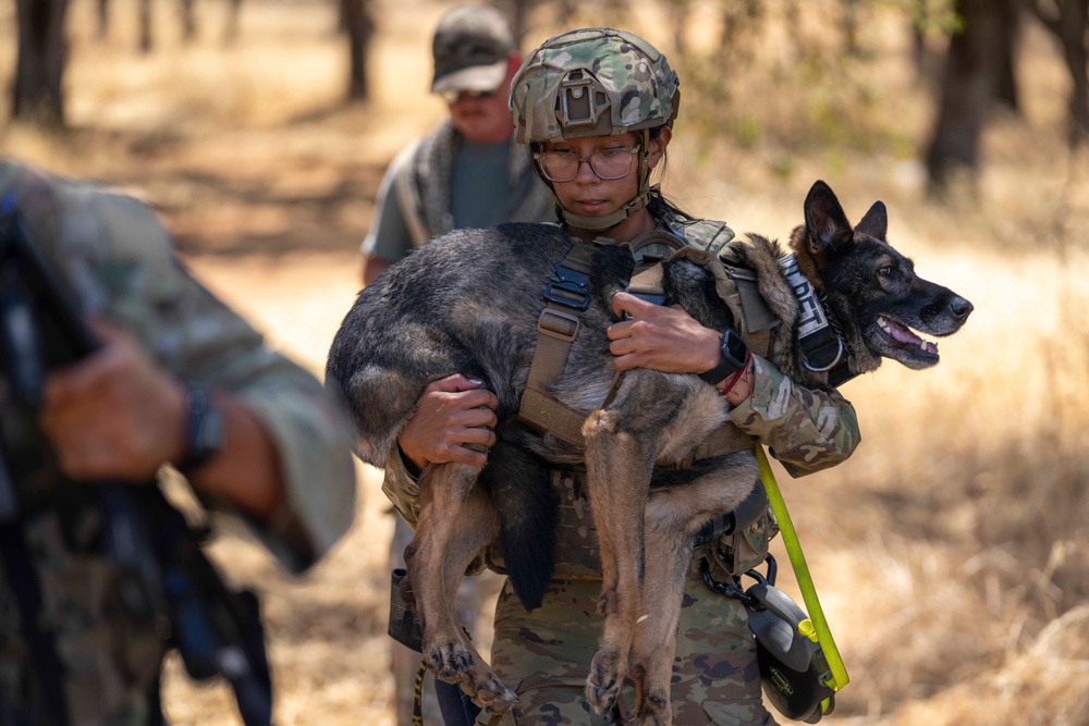 Beale Integrated Defense Training