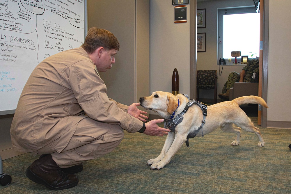 Cmdr. Ike visits Naval Medical Forces Atlantic