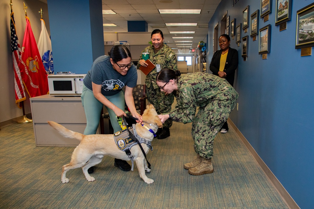 Cmdr. Ike visits Naval Medical Forces Atlantic