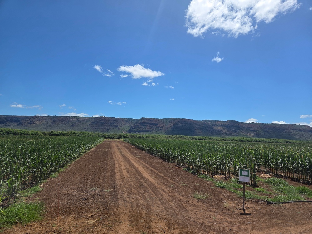 Landscapes of the Pacific Missile Range Facility Barking Sands
