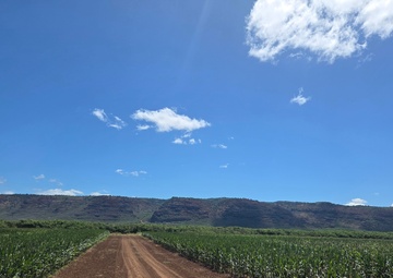 Landscapes of the Pacific Missile Range Facility Barking Sands
