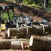 Personal Property Debris Removal continues in McDowell County, North Carolina