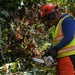 Personal Property Debris Removal continues in McDowell County, North Carolina