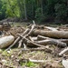 Personal Property Debris Removal continues in McDowell County, North Carolina
