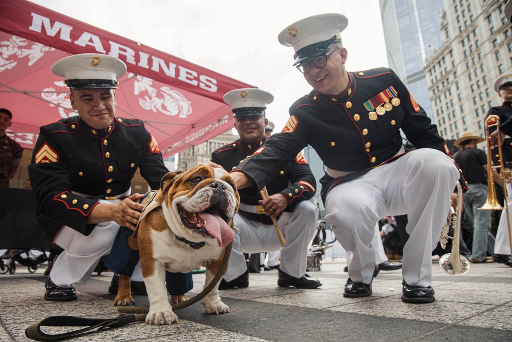 Marines 250 Chicago: Static Display