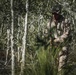 U.S. Marines Defend Weapons Cache During Talisman Sabre 25