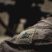 U.S. Marines Conduct Expeditionary Operations Training Group Certification Exercise