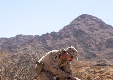Native Fury 25: EOD