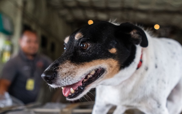 41st AS executes DLE 2025