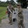 U.S. Soldiers Execute M4A1 Carbine Qualifications