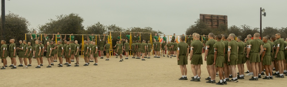Fox Company Initial Strength Assessment