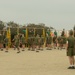 Fox Company Initial Strength Assessment