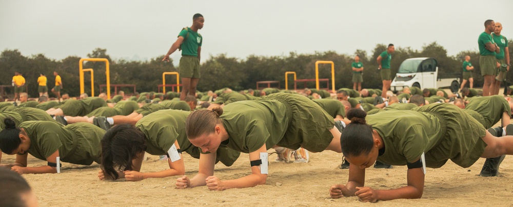 Fox Company Initial Strength Assessment