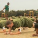 Fox Company Initial Strength Assessment