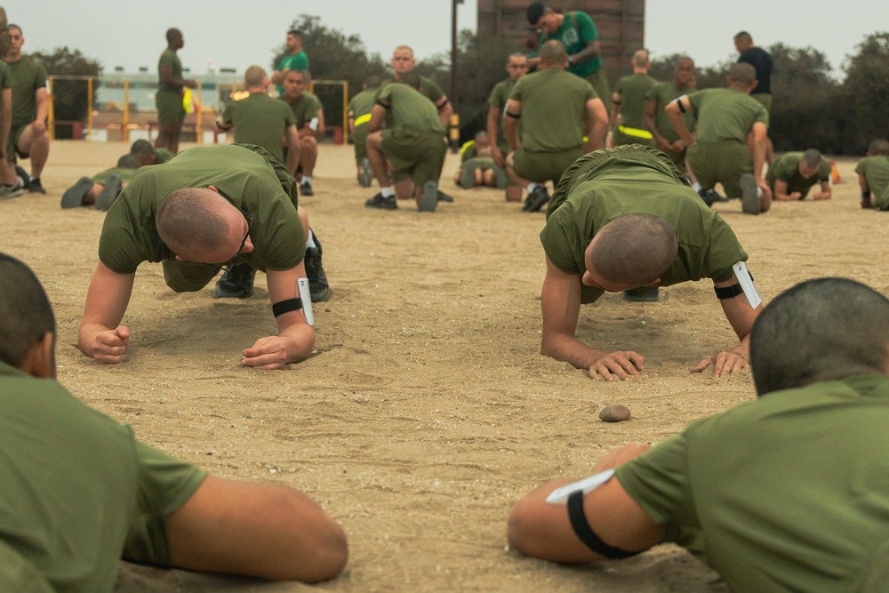 Fox Company Initial Strength Assessment