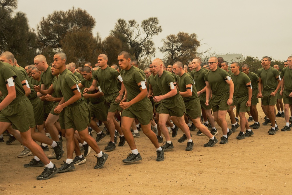 Fox Company Initial Strength Assessment