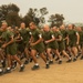 Fox Company Initial Strength Assessment