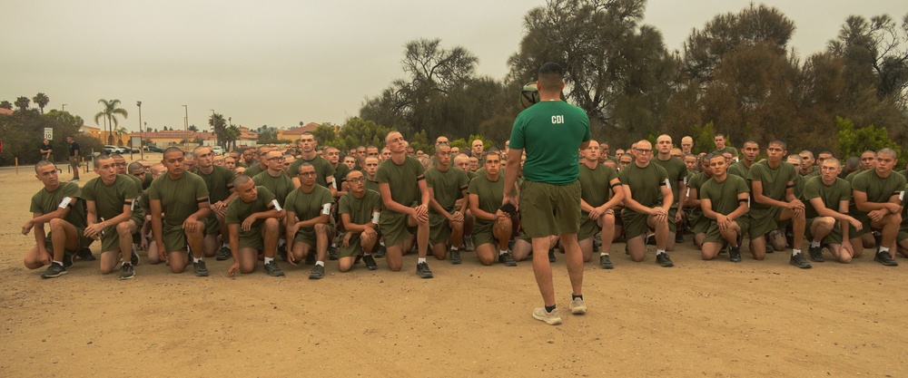 Fox Company Initial Strength Assessment