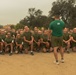 Fox Company Initial Strength Assessment