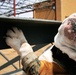 Mascot Monday: Topping-Off Ceremony