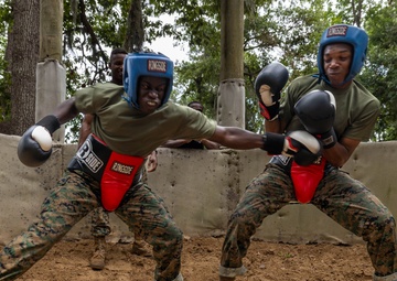 Mike Company Body Sparring