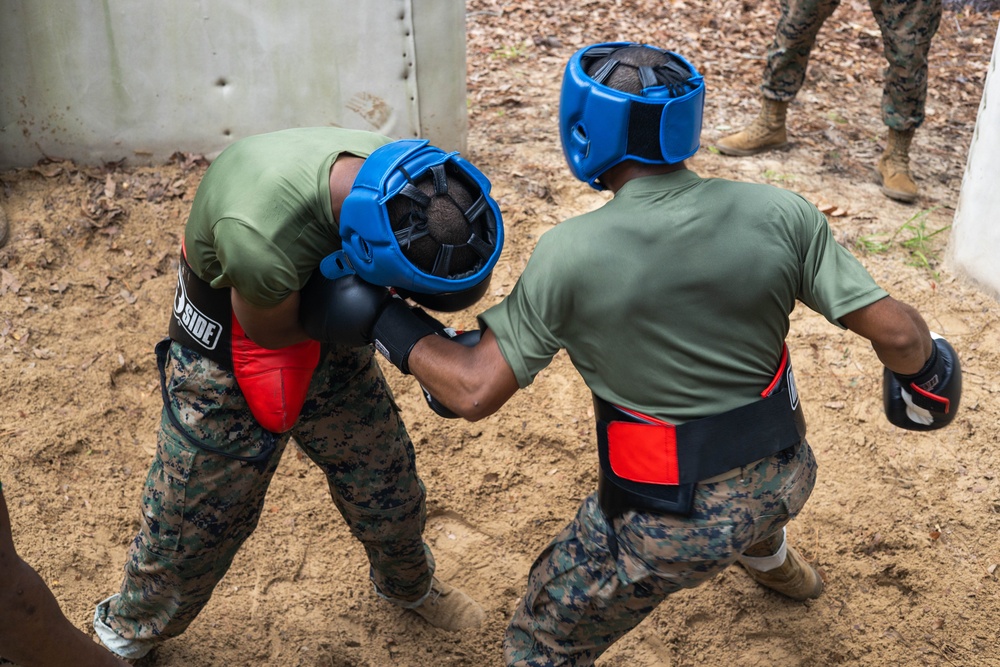 Mike Company Body Sparring