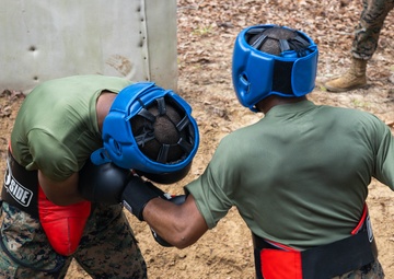 Mike Company Body Sparring