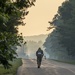 Steady Pace
