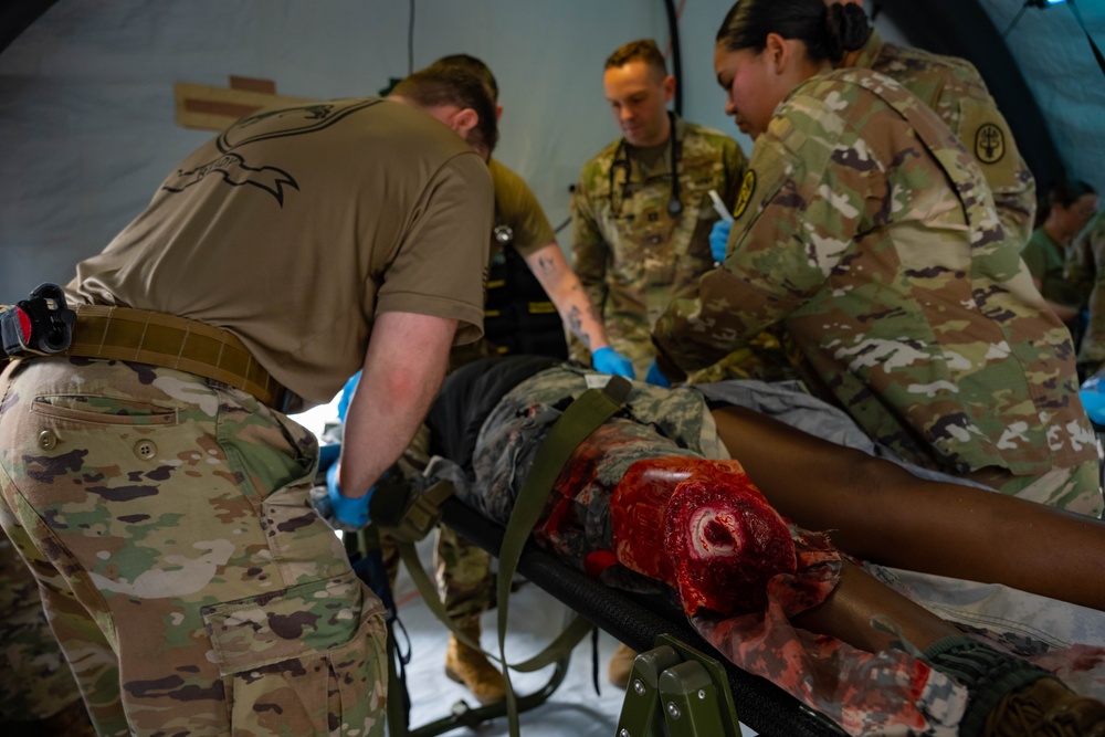 NY Army and Air Guard conduct joint medical evacuation exercise
