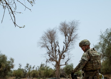 Explosive Ordnance Disposal techs train with multinational troops at Exercise African Lion