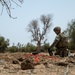Explosive Ordnance Disposal techs train with multinational troops at Exercise African Lion