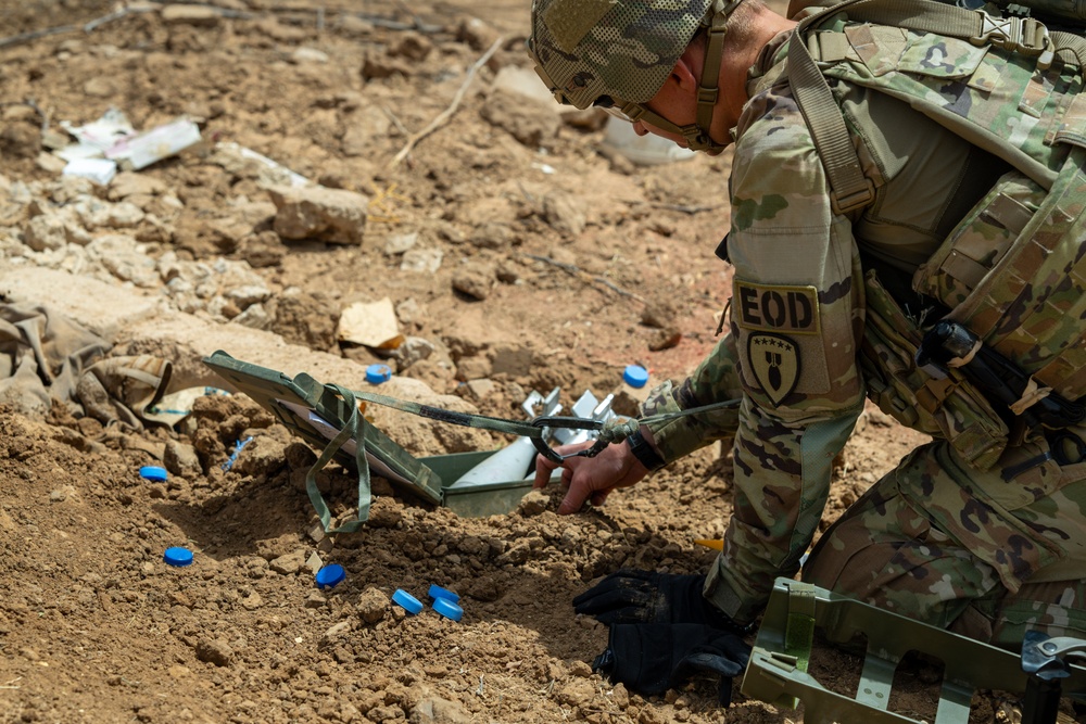 Explosive Ordnance Disposal techs train with multinational troops at Exercise African Lion