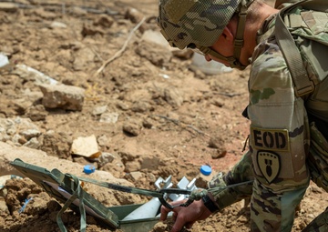 Explosive Ordnance Disposal techs train with multinational troops at Exercise African Lion