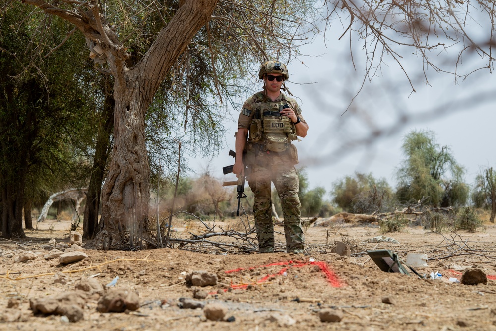 Explosive Ordnance Disposal techs train with multinational troops at Exercise African Lion